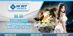Đá gà Philippines Shbet – Trận đấu mãn nhãn cược cực phê
