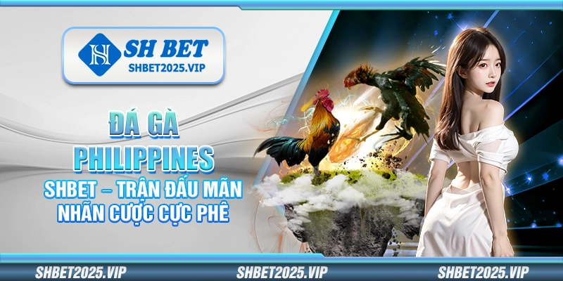 Đá gà Philippines Shbet – Trận đấu mãn nhãn cược cực phê