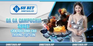 Đá gà Campuchia Shbet – Sàn đấu đỉnh cao thưởng cực lớn