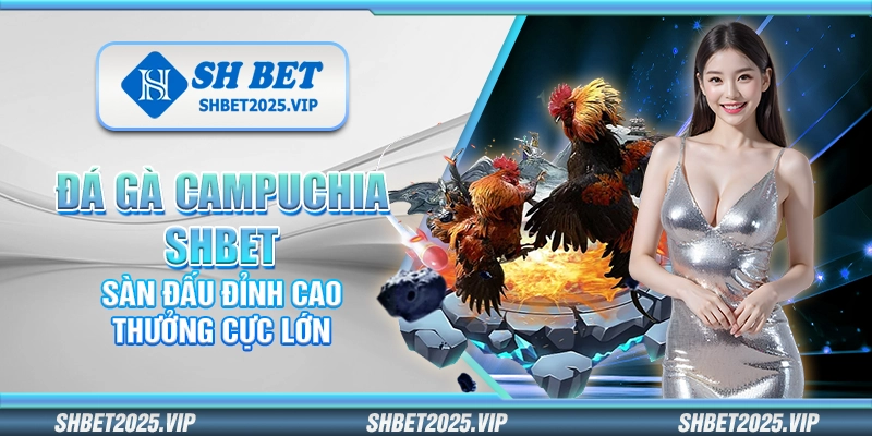 Đá gà Campuchia Shbet – Sàn đấu đỉnh cao thưởng cực lớn