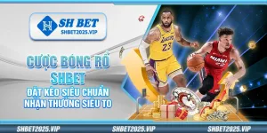 Cược bóng rổ Shbet – Đặt kèo siêu chuẩn nhận thưởng siêu to