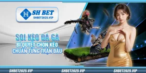 Soi kèo đá gà – Bí quyết chọn kèo chuẩn từng trận đấu