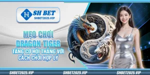 Mẹo chơi Dragon Tiger – Tăng cơ hội thắng với cách chơi hợp lý