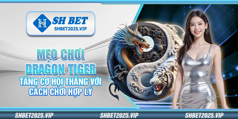 Mẹo chơi Dragon Tiger – Tăng cơ hội thắng với cách chơi hợp lý