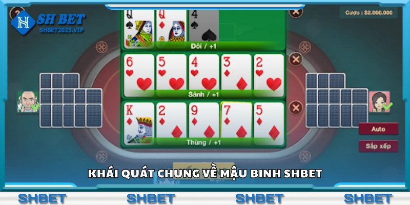 Bao quát chung về mậu binh Shbet