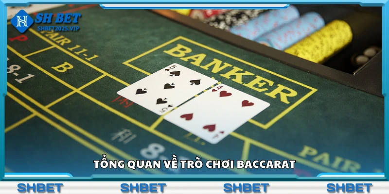 Giới thiệu về trò chơi Baccarat