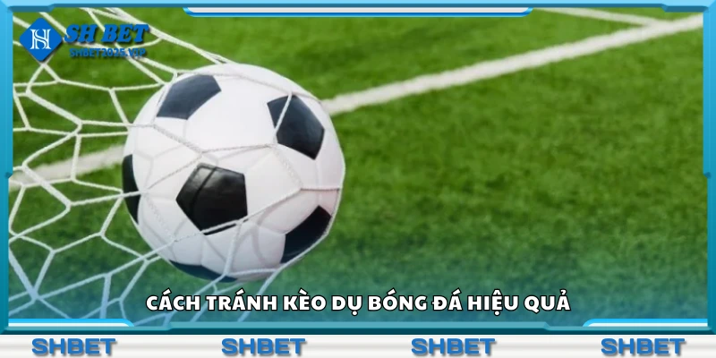 Hướng dẫn cách tránh kèo dụ bóng đá hiệu quả