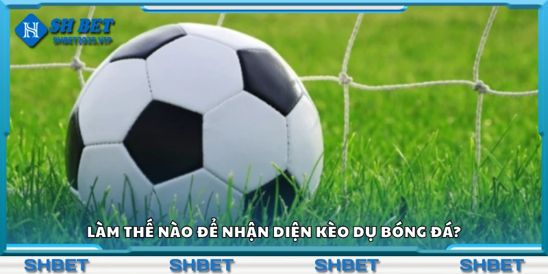 Làm thế nào để nhận diện kèo dụ bóng đá?