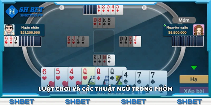 Tìm hiểu luật chơi và các thuật ngữ trong phỏm