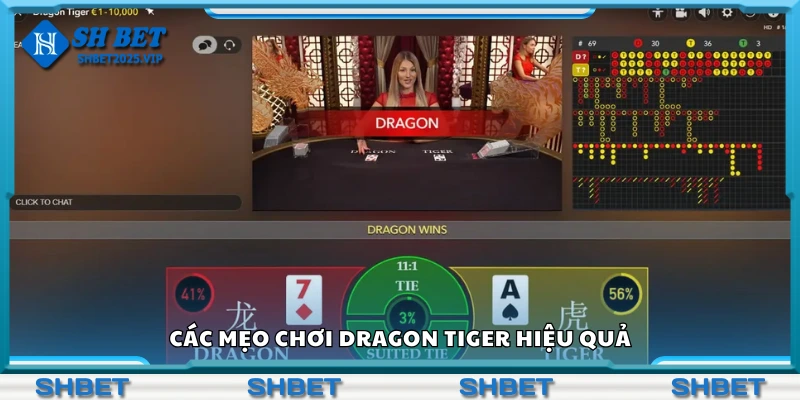 Bật mí mẹo chơi Dragon Tiger hiệu quả