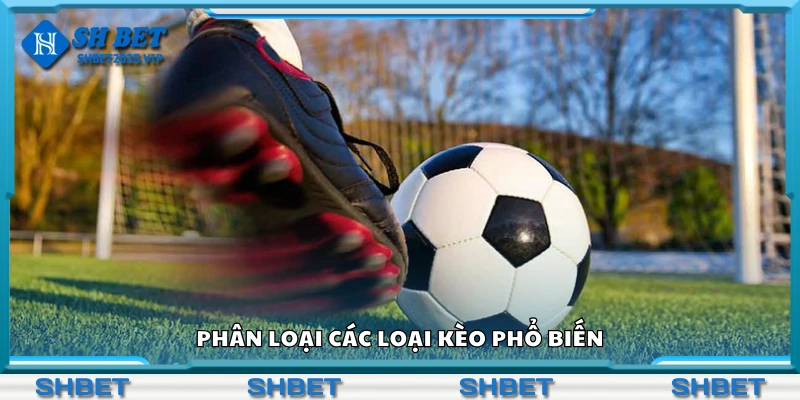 Các phân loại các loại kèo phổ biến