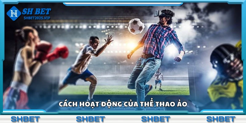 Khám phá cách hoạt động của thể thao ảo