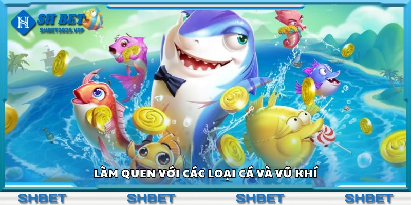 Làm quen với các loại cá và vũ khí