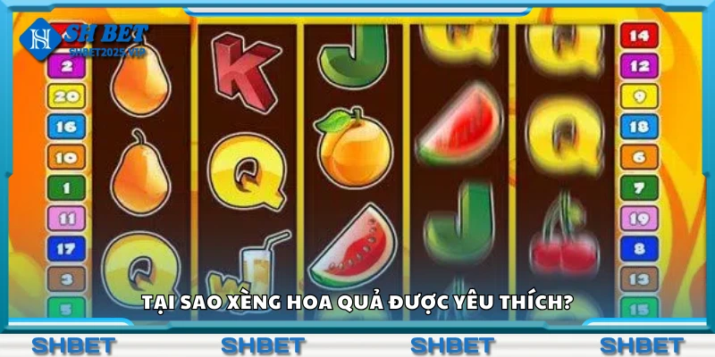 Lý do xèng hoa quả được yêu thích