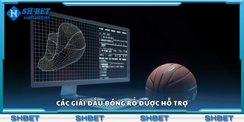 Một số giải đấu bóng rổ được hỗ trợ