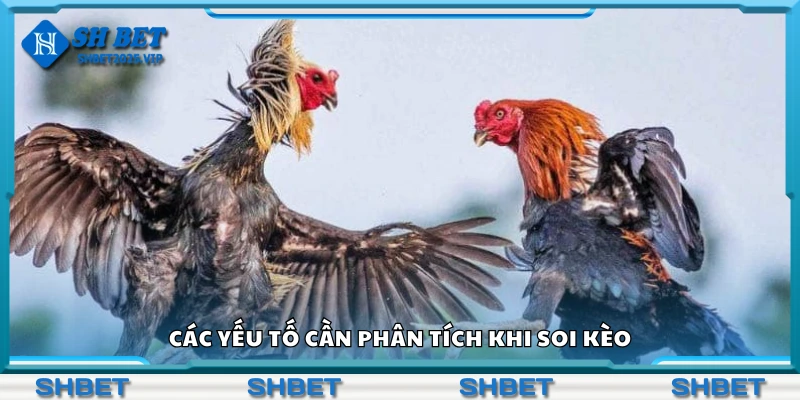 Một số yếu tố cần phân tích khi soi kèo