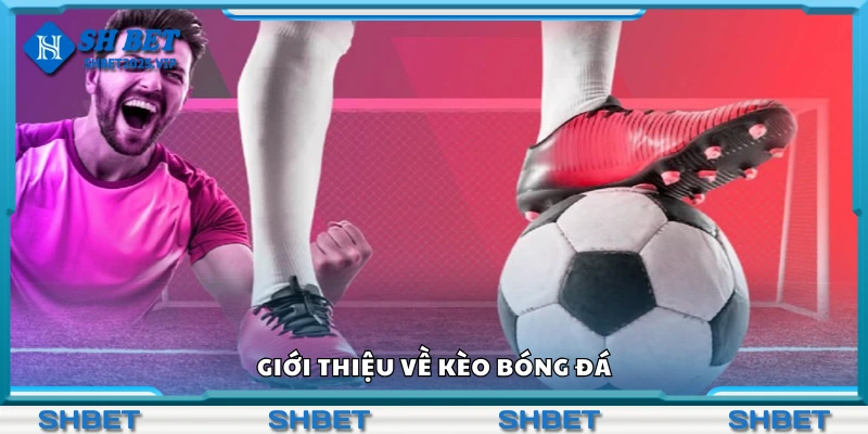 Sơ lược các thông tin về kèo bóng đá