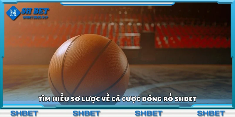 Tìm hiểu về cá cược bóng rổ Shbet