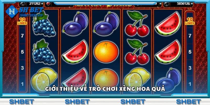 Tìm hiểu về trò chơi xèng hoa quả